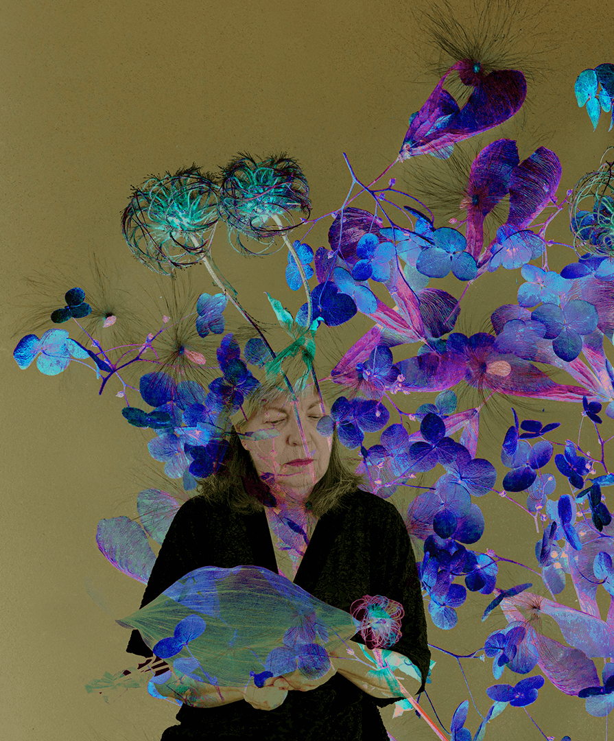 Ulrike Veith - Artist Portrait